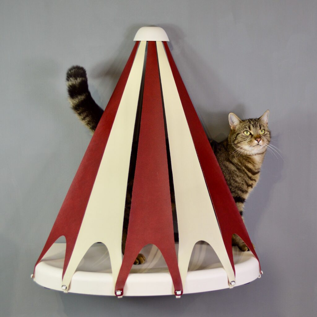 Cat in TeePee 6