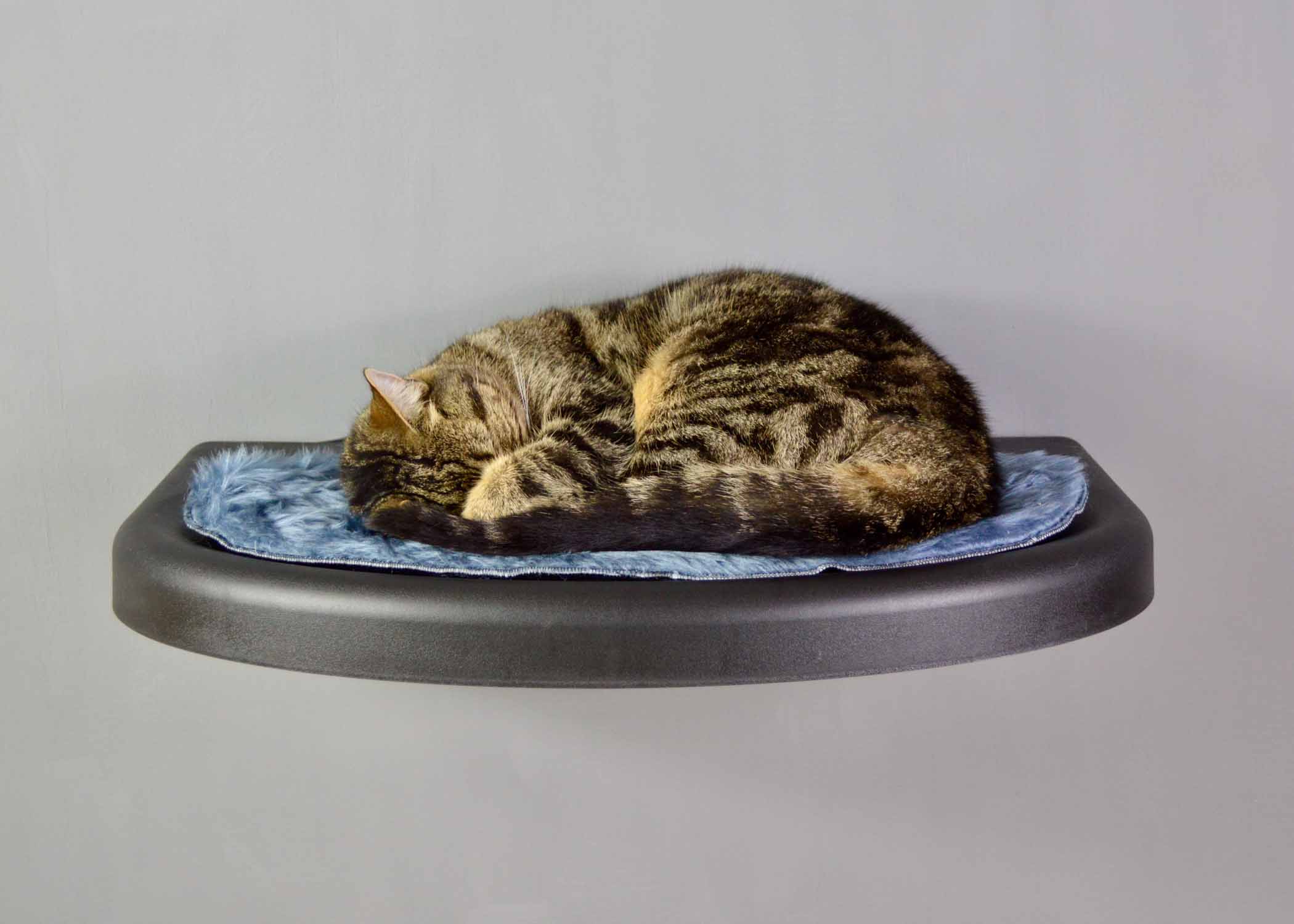 Catipilla high plate product