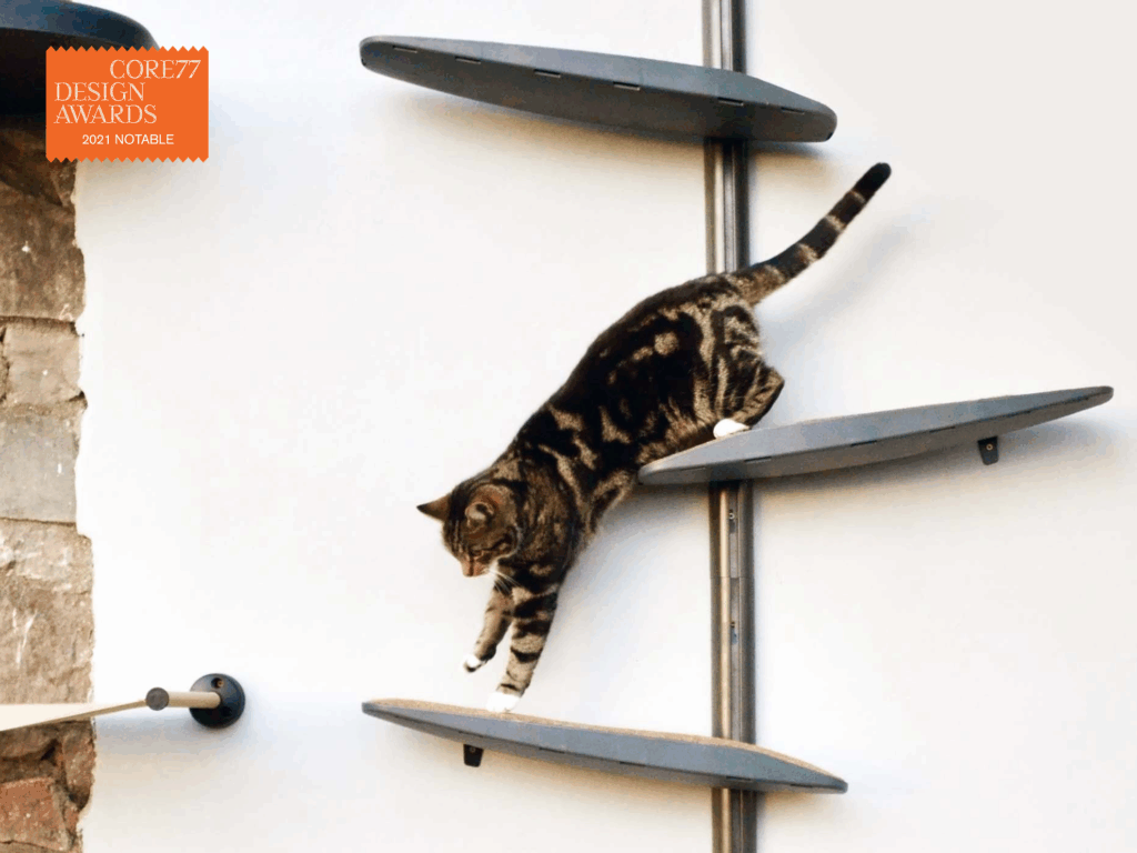 Catipilla main image with award