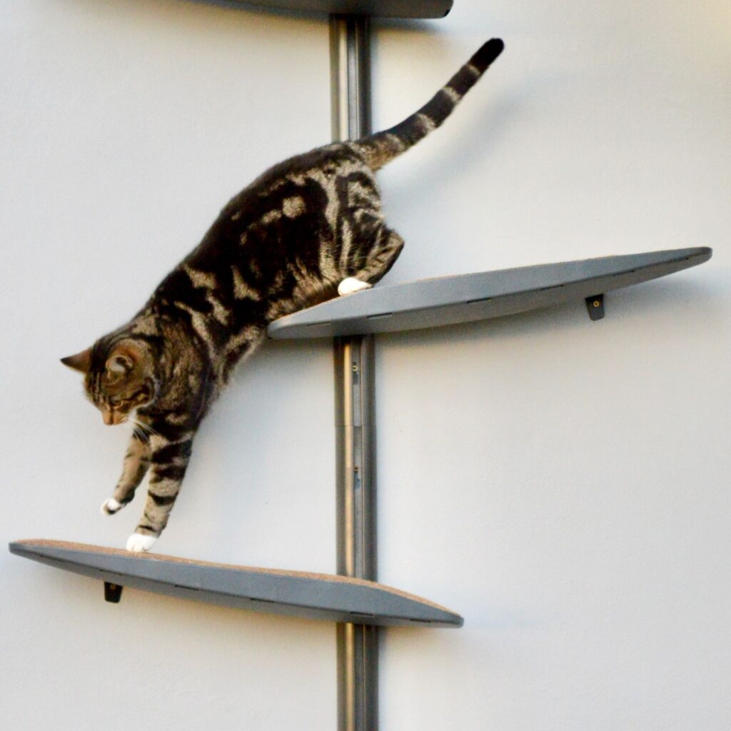 Pro outside vertical